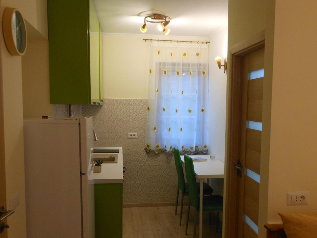 Testoasa Montana Sinaia Apartment Luaran gambar