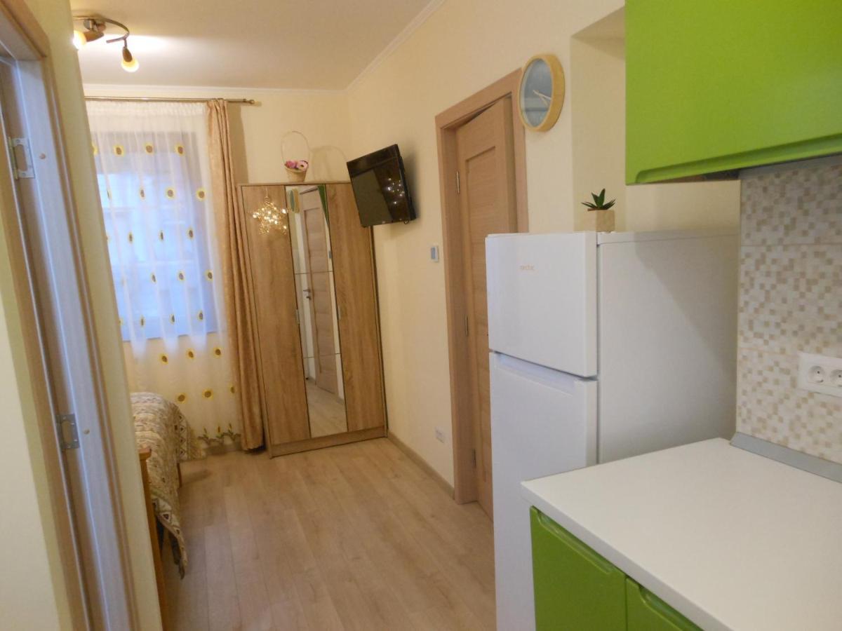 Testoasa Montana Sinaia Apartment Luaran gambar