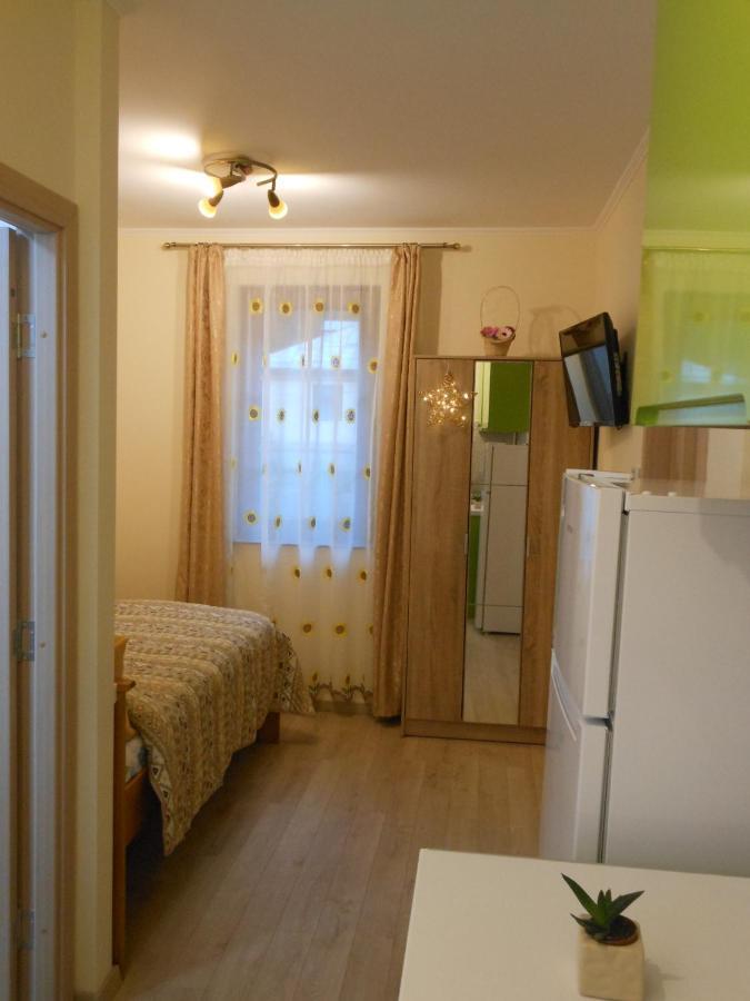 Testoasa Montana Sinaia Apartment Luaran gambar