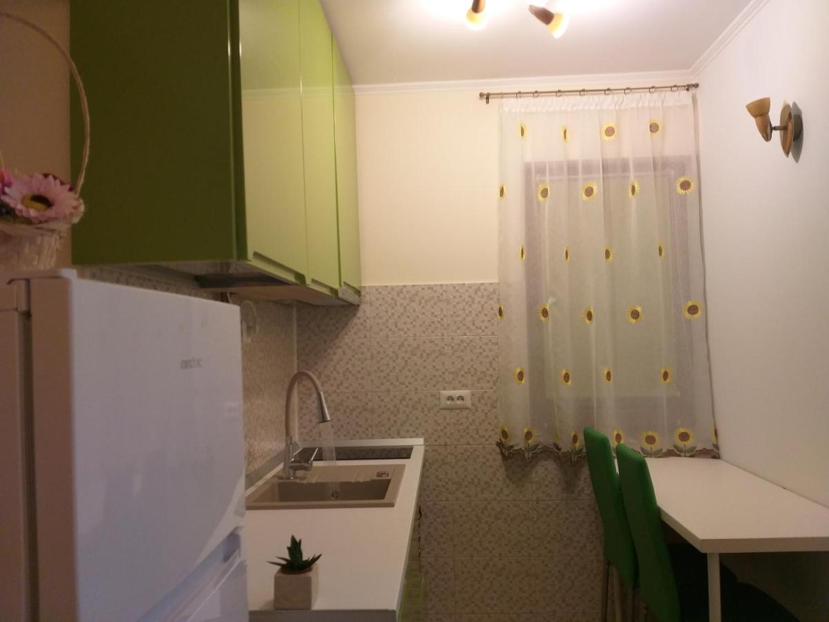 Testoasa Montana Sinaia Apartment Luaran gambar